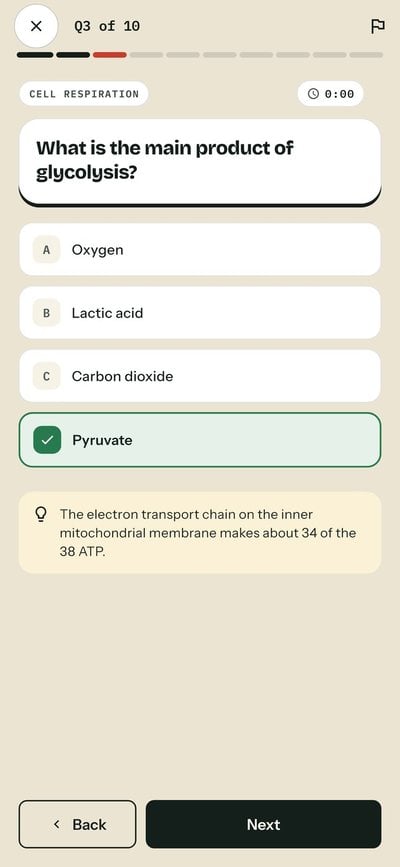 Oefenquiz in de app